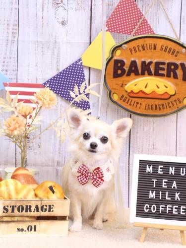 20240912ミルクちゃん